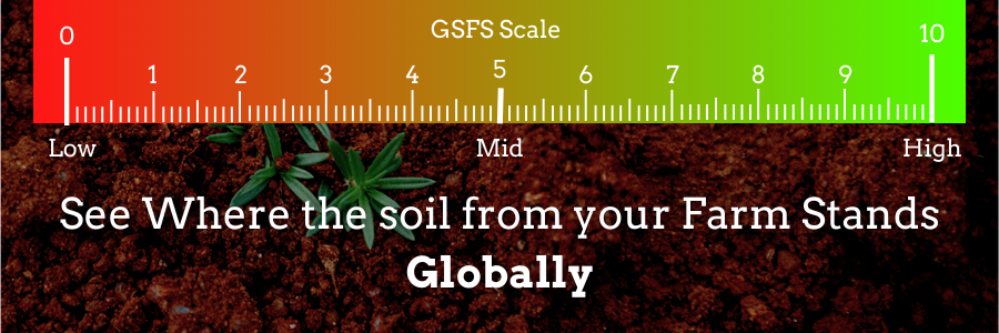 GSFS Scale